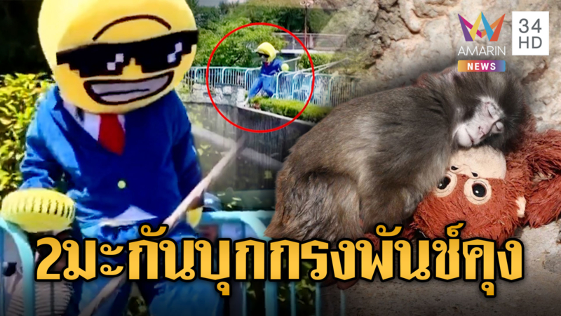 จับ 2 มะกันสุดห่ามบุกกรง “พันช์คุง” ที่ญี่ปุ่น