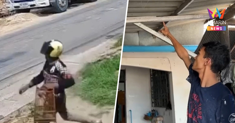 ผัวเมียแสบฉก "เจ้าบิด" นกกรงหัวจุกพันธุ์ดี เจ้าของให้เวลา 3วันเอามาคืน