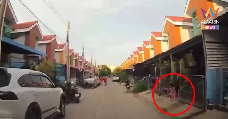 เปิดนาทีระทึกหนูน้อย 2 ขวบวิ่งพรวดออกถนน คนขับตาไวเบรกหัวทิ่ม