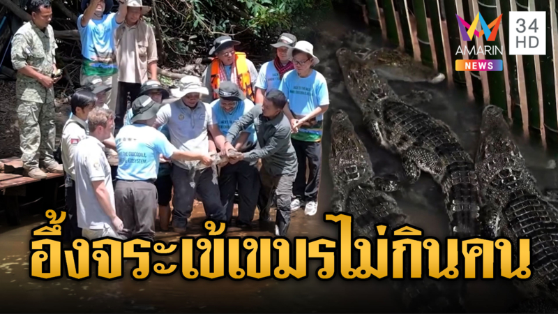 ชาวบ้านเขมรแทบตบหน้านักวิชาการ ปล่อยฝูงจระเข้ลงสู่แม่น้ำ