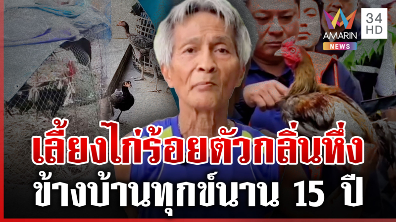 สุดทนพฤติกรรม! เพื่อนบ้านเลี้ยงไก่ 100 ตัว กลิ่นหึ่ง-เสียงดังรบกวน