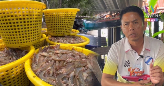 ม็อบคนเลี้ยงกุ้งภาคใต้ เตรียมบุกกรุงฯ 4 มิ.ย.นี้