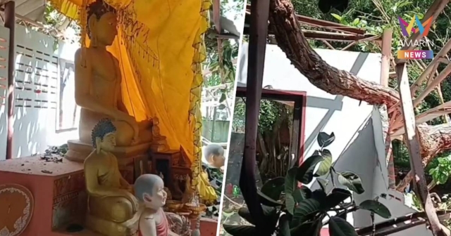 เกิดอะไรขึ้น?! ไร้ลมพายุแต่กิ่งไม้ัยักษ์หักทับโบสถ์เก่าเขมร