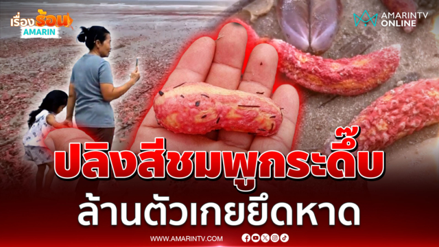 ขนลุกทั้งหาด! ปลิงสีชมพูผิวตะปุ่มตะป่ำถูกซัดเกยตื้น 