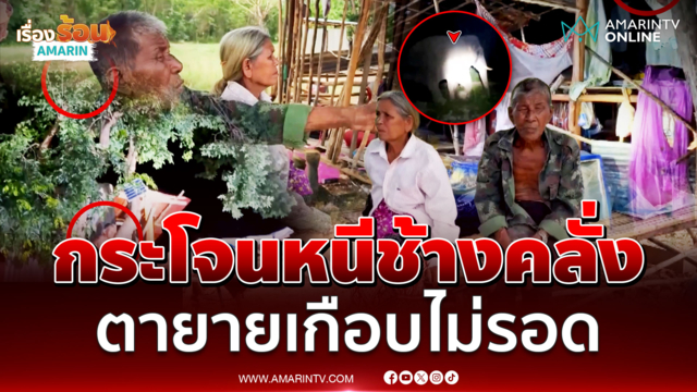 สองตายายปีนต้นไม้ไม่คิดชีวิต ช้างป่าคลั่งทุบบ้านข้าวของพัง