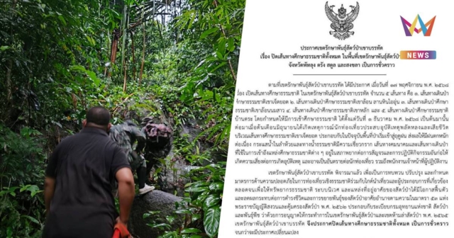 เซ่นปมนักท่องเที่ยวหลงป่าดับ! เขาบรรทัดสั่งปิด 5 เส้นทางธรรมชาติ