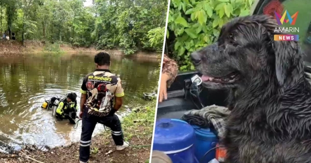 สุดสลด! “เจ้าชีต้าร์” โกลเด้นแสนรู้ โดดสระช่วยเจ้านายจมน้ำ