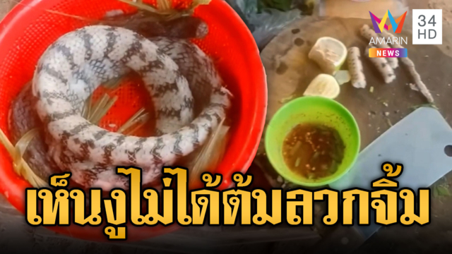 ทหารเขมรเห็นงูไม่ได้ ตะบี้ตะบันกินหมด