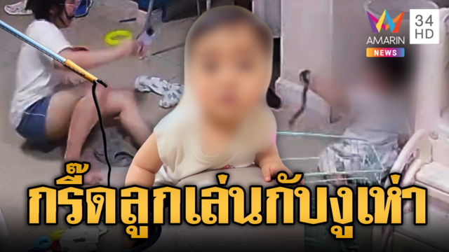 แม่หัวใจแทบวาย ลูก1ขวบจับลูกงูเห่าเล่น