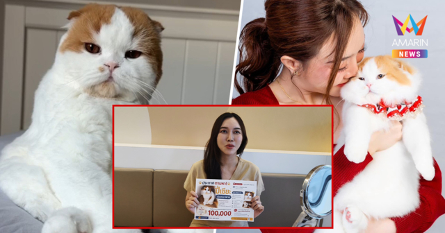 คุณหมอเชียงรายประกาศทุ่มรางวัล 1 แสน ตามหา 