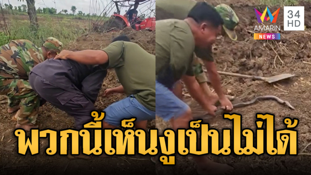 ทหารเขมรเป็นอะไรมากมั้ยกับงู เห็นเป็นไม่ได้