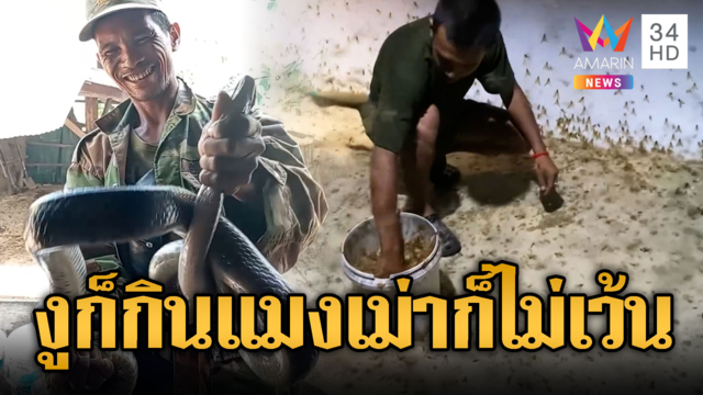 ทหารเขมรจับ “แมงเม่า” กิน แต่ก็ไม่ลืมงู