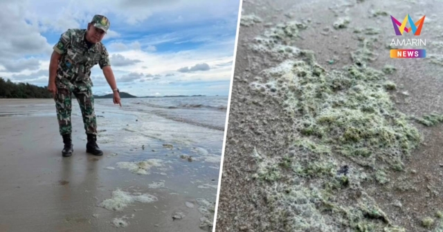 จนท.อุทยานฯ ยันฟองเขียวหาดแม่รำพึง ไม่ใช่คราบน้ำมัน
