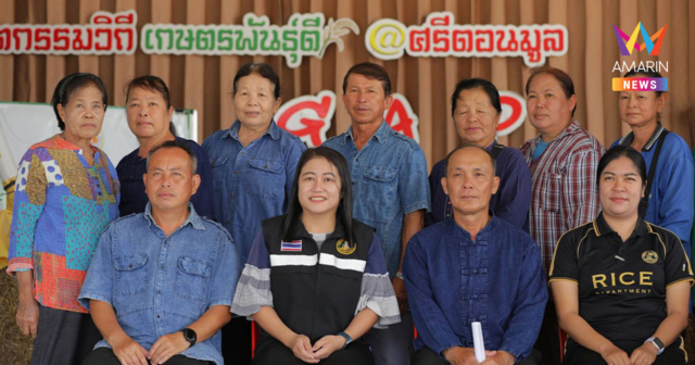ข้าวแปลงใหญ่เชียงราย ข้าวคุณภาพ จากเมล็ดพันธุ์ข้าวคุณภาพดี