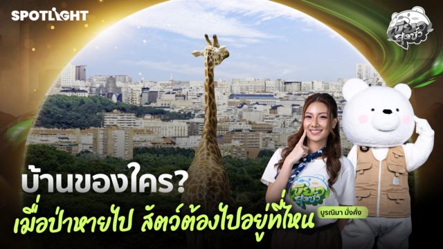 เขียวสุดขั้ว EP.14 | บ้านของใคร? เมื่อป่าหายไป สัตว์ต้องไปอยู่ที่ไหน