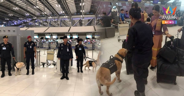 ตร.191 ส่งสุนัข K9 คุมเข้มสุวรรณภูมิ สกัดเครือข่ายขนยาเสพติดข้ามชาติ