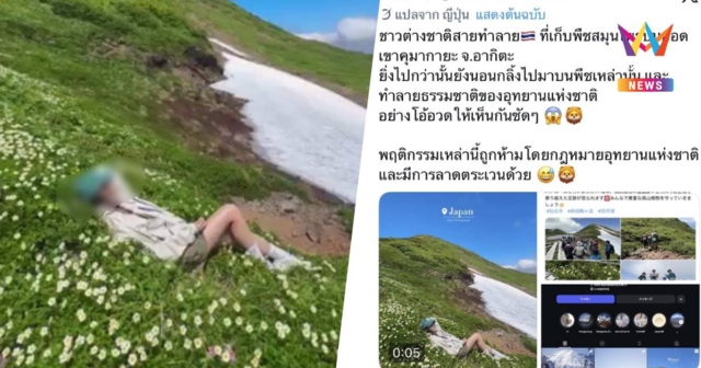 งามหน้า! โซเชียลญี่ปุ่น แฉอินฟลูฯสาวไทย นอนทับ-เด็ดพืชเทือกเขาอาคิตะ
