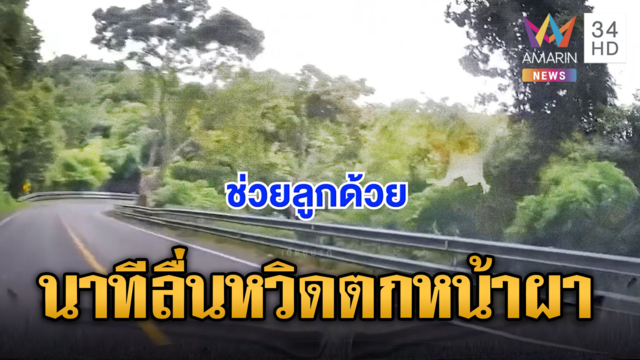 กระบะเสียหลักลื่นฝนหวิดตกเขา