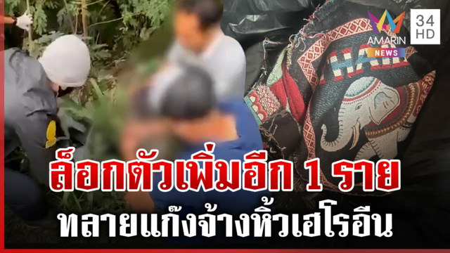 เปิดที่มากระเป๋าช้างซุกเฮโรอีน แฉขบวนการแก๊งหิ้วเอี่ยวคดีแอร์สาว