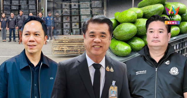 เจาะปฏิบัติการสายฟ้าแลบ รวบแก๊งลอบขนอะโวคาโดเถื่อน มูลค่า 4.5 ล้านบาท