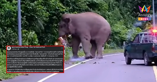 อุทยานฯ เขาใหญ่ แจงดราม่าผลักดัน ‘พลายสาริกา’ เคลียร์ภาพจุดประกายไฟ