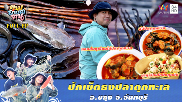 'ปักเบ็ดธง ไม้ฝาด' เหนียวสะบัด! รอนาทีทองปลาดุกทะเลติดหนึบ