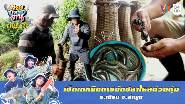 ตะลุยสวนลำไย! ส่องวิถี ดักตุ้มปลาไหล อ.เมือง จ.ลำพูน