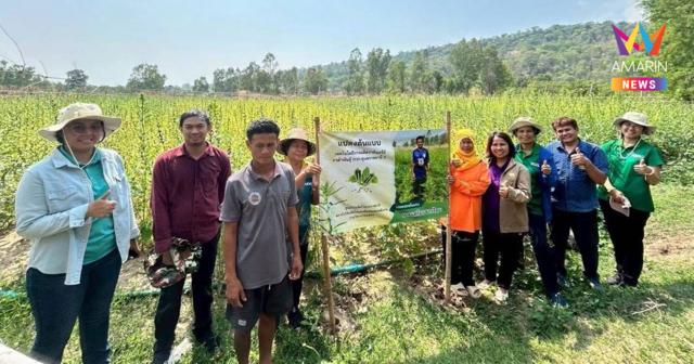 กรมวิชาการเกษตร หนุนเกษตรกร คทช.ปลูกงาอินทรีย์–GAP สร้างอาชีพหลังนา