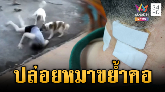 ร้องห้ามศึกเพื่อนบ้าน แต่ดันปล่อยหมารุมกัด