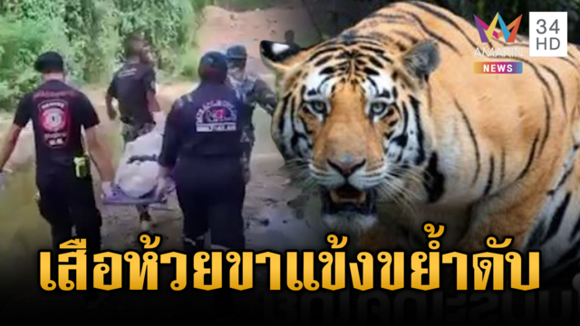 เสือห้วยขาแข้งขย้ำเจ้าหน้าที่พิทักษ์ป่าดับสยอง