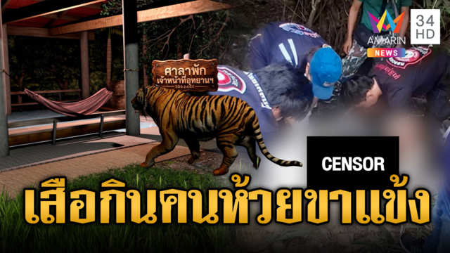 เสือโคร่งห้วยขาแข้งขย้ำสยอง! กระชากร่าง จนท.เหวอะหวะ