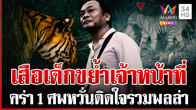 เปิดหลักฐานเสือเด็กขย้ำจนท.พิทักษ์ป่า สั่งเฝ้าระวังไม่ปล่อยให้โจมตี