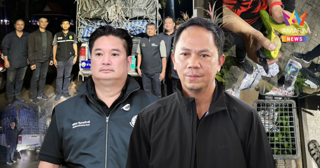 ศพร.-กรมวิชาการเกษตรสกัดอะโวคาโดเถื่อน 2.24 ตัน ขยายผลกวาดล้างทั้งระบบ