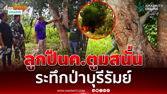 ทำลายลูกปืนค. ฝังคาต้นมะค่านาน 7 ปีที่บุรีรัมย์