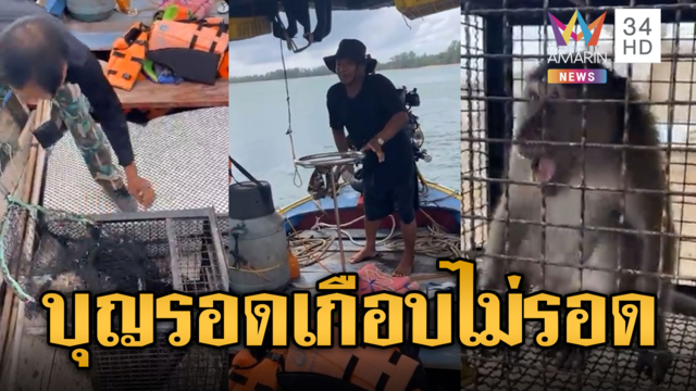 ระดมคนช่วยวุ่น ลิงติดตอม่อสะพานสารสิน