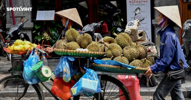 จีนทุ่ม 3.5 หมื่นล้านบาท นำเข้าทุเรียนเวียดนาม ครึ่งปีแรกโตพุ่ง 43%