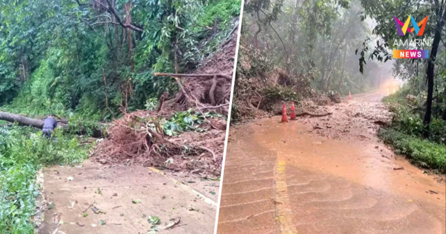 อช.ทองผาภูมิเตือน! ฝนตกดินสไลด์ ต้นไม้ล้มทับทาง เส้นบ้านไร่-บ้านอีต่อง