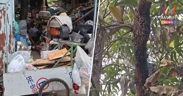 ผึ้งหลวงยังไม่ไป! สร้างรังใหม่ซ้ำบ้านชาวบ้าน หลังรุมต่อยสาหัส 4 ราย
