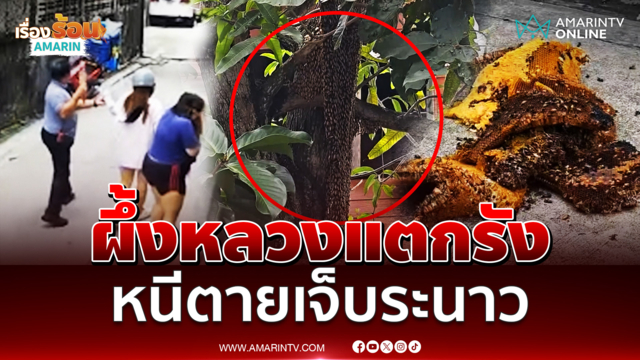 ผึ้งหลวงนับหมื่นแตกรัง รุมต่อยชาวบ้านเจ็บ 4