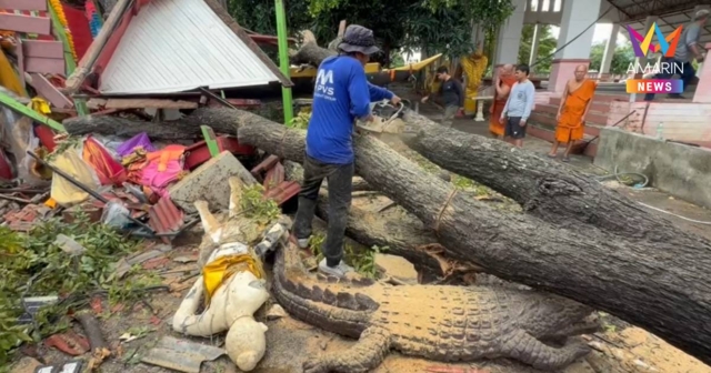 พายุฝนถล่มอยุธยา! กิ่งตะเคียนหินเกือบ100ปี หักทับศาลเจ้าแม่ตะเคียนน้อย