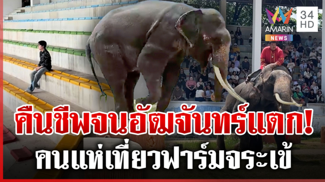 คลิปเดียวเปลี่ยนชีวิต! คืนชีพฟาร์มจระเข้และสวนสัตว์สมุทรปราการ