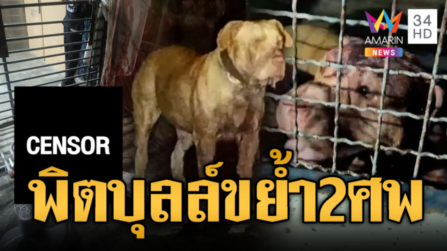 “ไจแอนท์” หมาพิตบุลล์โหด! ขย้ำคอยายดับ-อึ้งประวัติ 5 ปี 2 ศพ