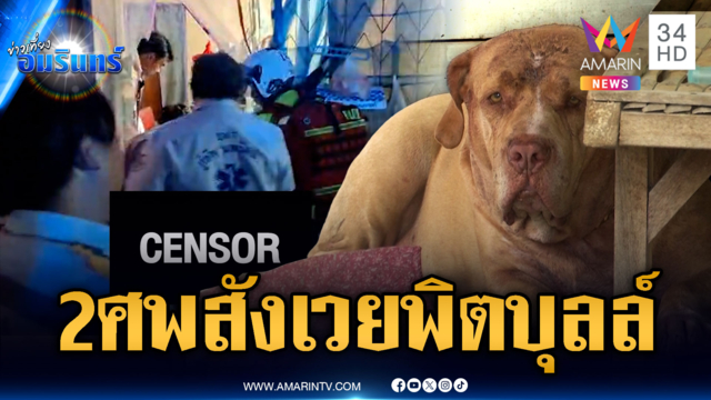 พิตบุลล์ขย้ำยายตาย อึ้งไม่ใช่ศพแรก-จ่อส่งหมาไปบ้านชั่วคราว