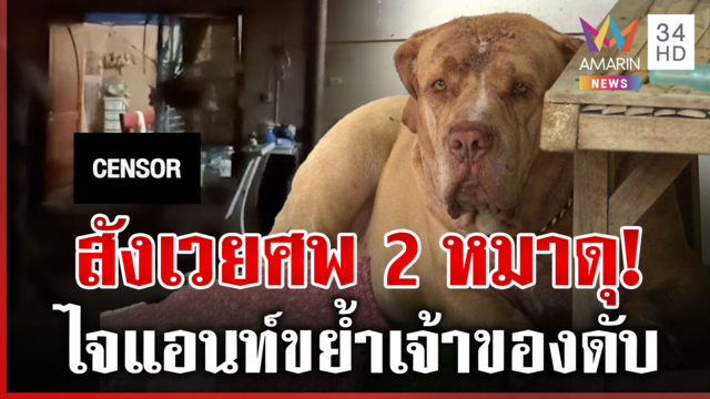 ศพที่ 2 พิตบุลล์โหดขย้ำเจ้าของ คนสนิทเผยเลี้ยงดูดี