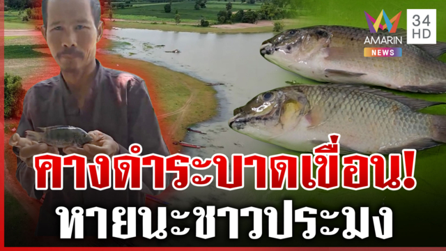 ปลาหมอคางดำระบาดหนัก ในพื้นที่เขื่อนลำปาว