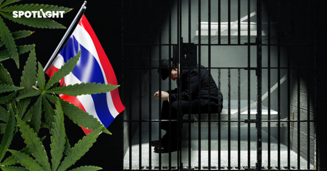 พลเมือง UK ขนยาจนถูกจับพุ่ง 4 เท่า คดีส่วนใหญ่เชื่อมโยงกับ ‘กัญชาไทย’