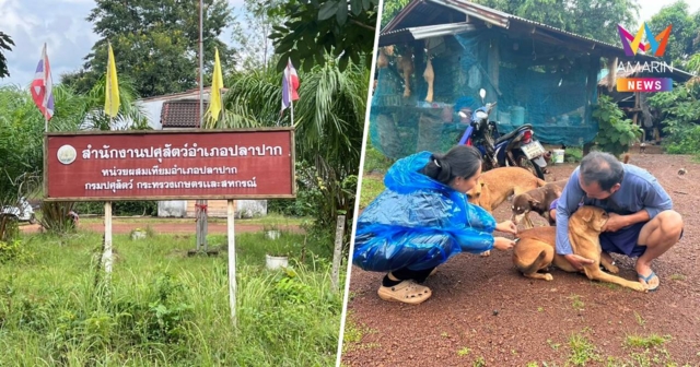 ปศุสัตว์คุมเข้มโรคพิษสุนัขบ้า หลังพบหญิงวัย43เสียชีวิต เร่งฉีดวัคซีน