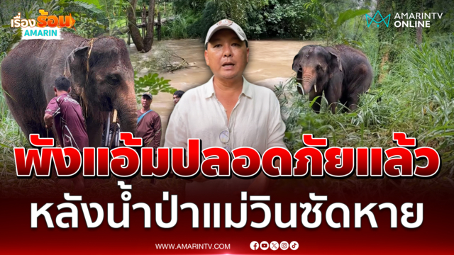 ปลอดภัยแล้ว "พังแอ้ม" ช้างพิการขาหน้าถูกน้ำป่าแม่วินซัดหาย