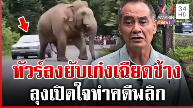 คดีพลิก! เปิดใจลุงขับเก๋งเฉียดช้าง 