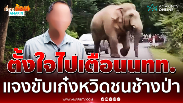 อดีตจนท.เขาใหญ่ เปิดอีกมุมขับเก๋งหวิดชนช้างป่า ตั้งใจไปเตือน นทท.